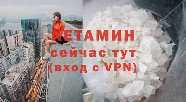 хмурый Ельня